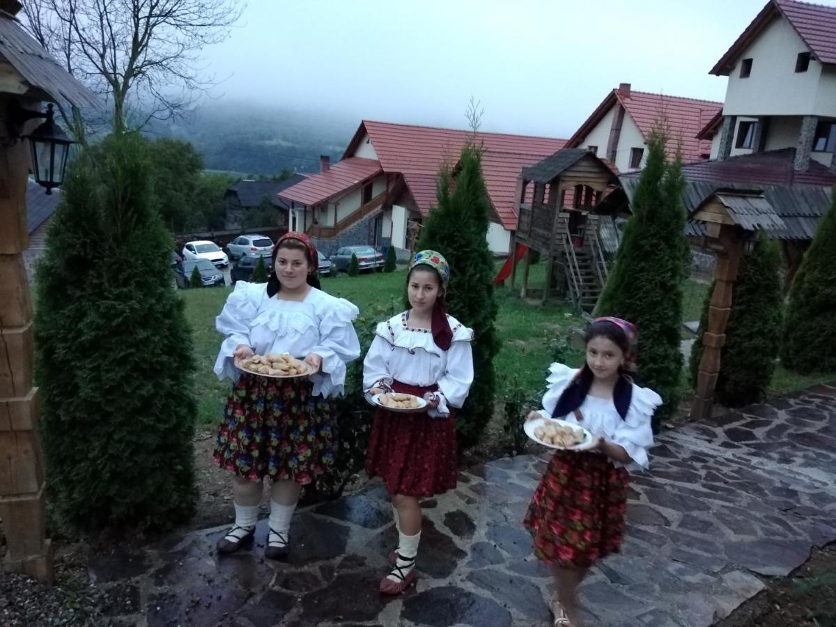 Pensiunea Valea Branzei Nanesti Exterior photo